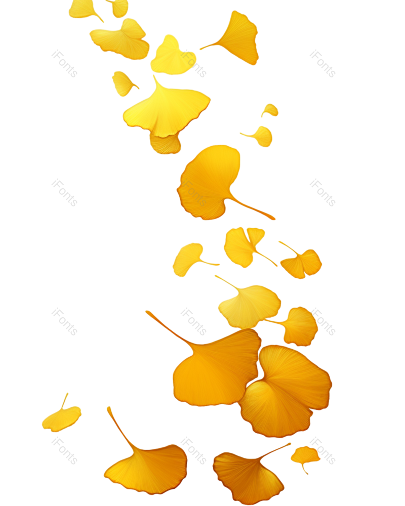 叶子图片,装饰元素,秋天PNG,简约免抠素材